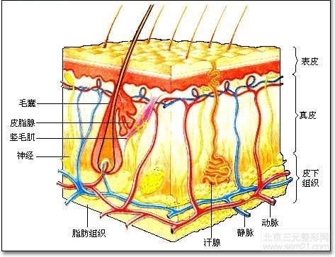 怎么祛痘？激光祛痘果如何？多少钱？