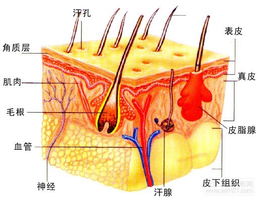 嫩肤有哪些方法，激光，光子嫩肤果好吗？