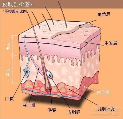 怎样去太田痣，哪家医院好？