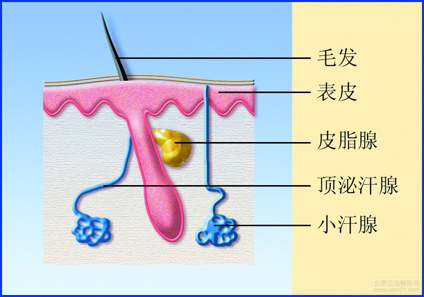 怎样去太田痣，哪家医院好？