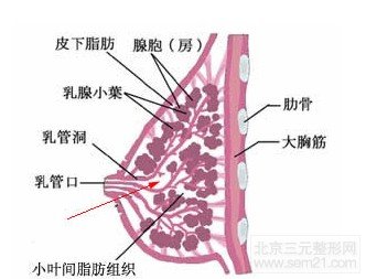 乳房下垂矫正手术果好吗，价格多少钱？