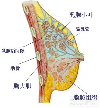 假体隆胸后可以喂奶吗，有什么危害吗？