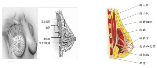 现今医疗技术做假体隆胸果怎么样？