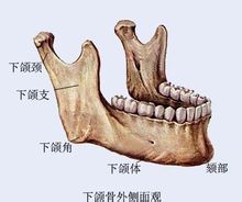 上海九院余东下颌角磨骨多少钱？