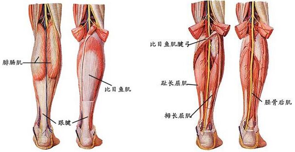 打注射瘦腿果好吗？有什么副作用