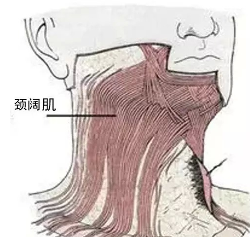 30岁前颈纹严重正常吗？怎么办？