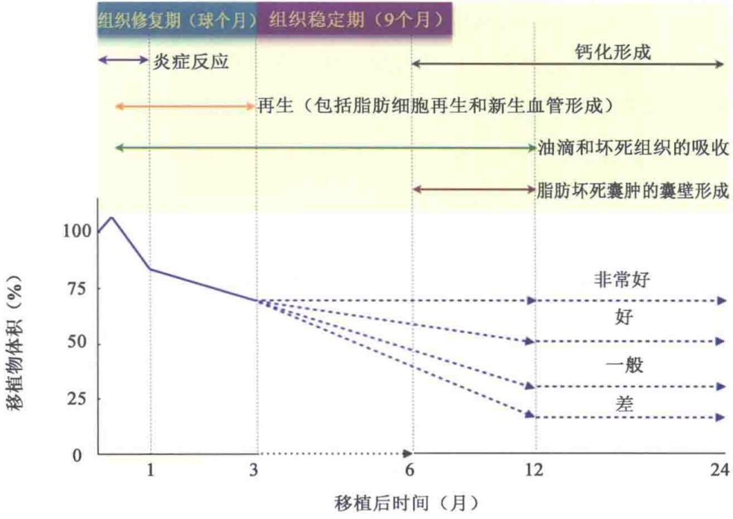 自体脂肪移植成活和坏死的病例过程