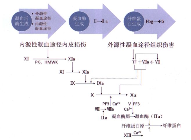 玻尿酸注射逆流栓塞导致严重的并发症