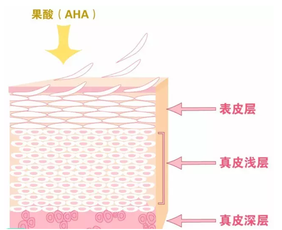 果酸换肤原理、果、副作用和危害详解