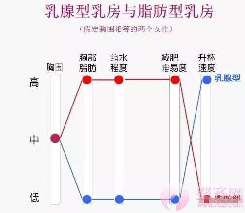 想减肥不减胸？你该这样做！