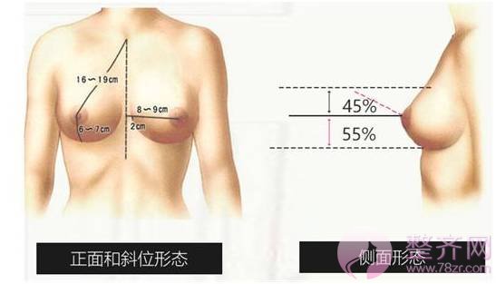 想减肥不减胸？你该这样做！