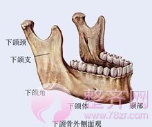 下颌角决定你脸型的美丑