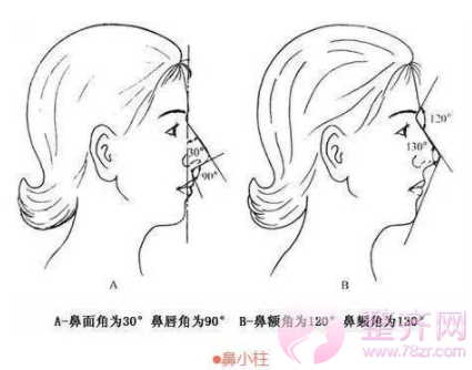 如何拥有一个精致的鼻子？