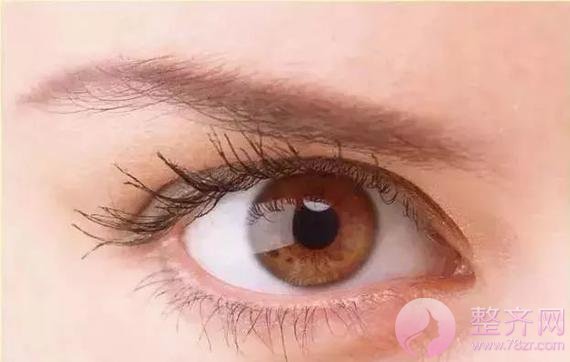 眼睑下至让你的眼睛温柔好看!