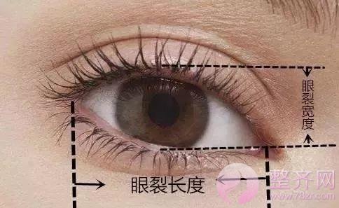 眼睑下至让你的眼睛温柔好看!