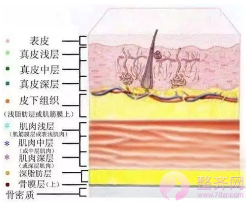 大家都在变美，谁甘愿被落下？