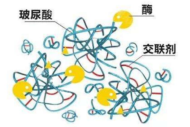 此玻尿酸非彼玻尿酸