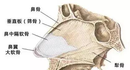 鼻部手术该用什么自体软骨才好？