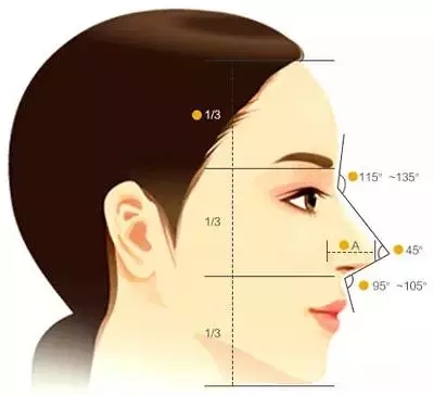 好看的鼻子承包了一个人90%的气质