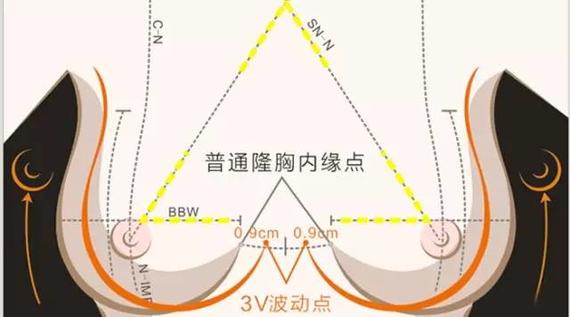 想整形~先看这些美学标准再开口！