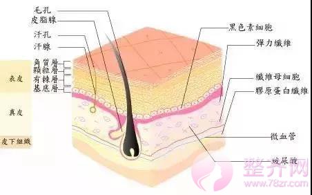 夏季打玻尿酸，会融化吗？